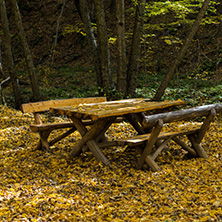 Autumn Landscape with yellow Trees near Devil town in Radan Mountain, Serbia