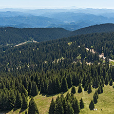 Summer landscape of Rhodope Mountains from Snezhanka tower near ski resort Pamporovo, Smolyan Region, Bulgaria