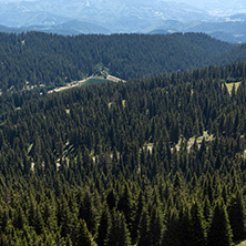 Summer landscape of Rhodope Mountains from Snezhanka tower near ski resort Pamporovo, Smolyan Region, Bulgaria