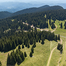 Summer landscape of Rhodope Mountains from Snezhanka tower near ski resort Pamporovo, Smolyan Region, Bulgaria