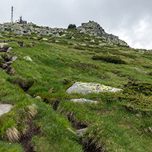 Landscape of Vitosha Mountain near Cherni Vrah Peak, Sofia City Region, Bulgaria