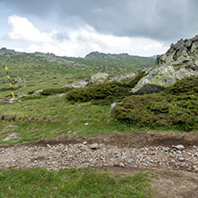 Landscape of Vitosha Mountain near Cherni Vrah Peak, Sofia City Region, Bulgaria