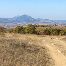 Amazing Autumn landscape of Cherna Gora (Monte Negro) mountain, Pernik Region, Bulgaria