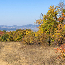 Amazing Autumn landscape of Cherna Gora (Monte Negro) mountain, Pernik Region, Bulgaria