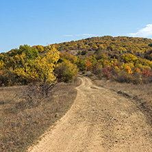 Amazing Autumn landscape of Cherna Gora (Monte Negro) mountain, Pernik Region, Bulgaria