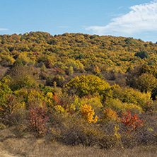 Amazing Autumn landscape of Cherna Gora (Monte Negro) mountain, Pernik Region, Bulgaria