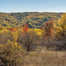 Amazing Autumn landscape of Cherna Gora (Monte Negro) mountain, Pernik Region, Bulgaria