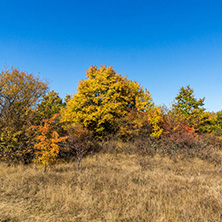 Amazing Autumn landscape of Cherna Gora (Monte Negro) mountain, Pernik Region, Bulgaria