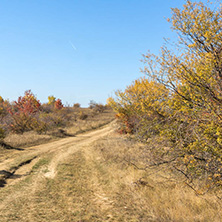 Amazing Autumn landscape of Cherna Gora (Monte Negro) mountain, Pernik Region, Bulgaria