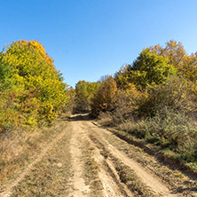 Amazing Autumn landscape of Cherna Gora (Monte Negro) mountain, Pernik Region, Bulgaria