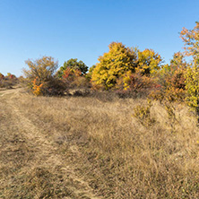 Amazing Autumn landscape of Cherna Gora (Monte Negro) mountain, Pernik Region, Bulgaria