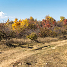 Amazing Autumn landscape of Cherna Gora (Monte Negro) mountain, Pernik Region, Bulgaria