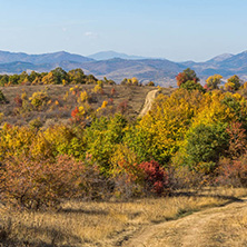 Amazing Autumn landscape of Cherna Gora (Monte Negro) mountain, Pernik Region, Bulgaria