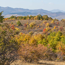 Amazing Autumn landscape of Cherna Gora (Monte Negro) mountain, Pernik Region, Bulgaria