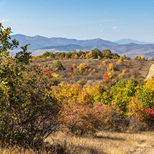 Amazing Autumn landscape of Cherna Gora (Monte Negro) mountain, Pernik Region, Bulgaria