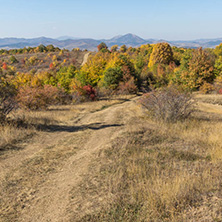 Amazing Autumn landscape of Cherna Gora (Monte Negro) mountain, Pernik Region, Bulgaria