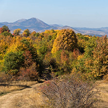 Amazing Autumn landscape of Cherna Gora (Monte Negro) mountain, Pernik Region, Bulgaria