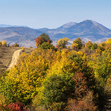 Amazing Autumn landscape of Cherna Gora (Monte Negro) mountain, Pernik Region, Bulgaria