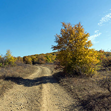 Amazing Autumn landscape of Cherna Gora (Monte Negro) mountain, Pernik Region, Bulgaria