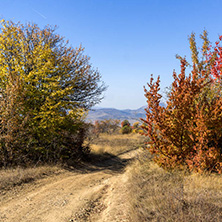 Amazing Autumn landscape of Cherna Gora (Monte Negro) mountain, Pernik Region, Bulgaria