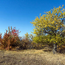 Amazing Autumn landscape of Cherna Gora (Monte Negro) mountain, Pernik Region, Bulgaria