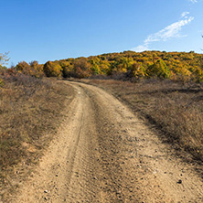 Amazing Autumn landscape of Cherna Gora (Monte Negro) mountain, Pernik Region, Bulgaria