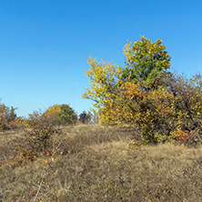 Amazing Autumn landscape of Cherna Gora (Monte Negro) mountain, Pernik Region, Bulgaria