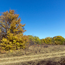 Amazing Autumn landscape of Cherna Gora (Monte Negro) mountain, Pernik Region, Bulgaria