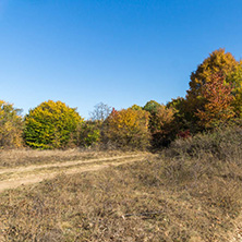 Amazing Autumn landscape of Cherna Gora (Monte Negro) mountain, Pernik Region, Bulgaria