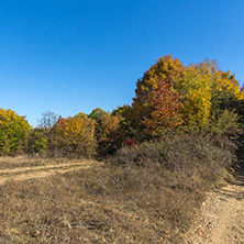 Amazing Autumn landscape of Cherna Gora (Monte Negro) mountain, Pernik Region, Bulgaria