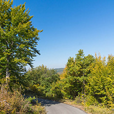 Autumn landscape of Ruen Mountain - northern part of Vlahina Mountain, Kyustendil Region, Bulgaria