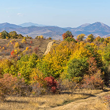 Amazing Autumn Panorama of Cherna Gora (Monte Negro) mountain, Pernik Region, Bulgaria