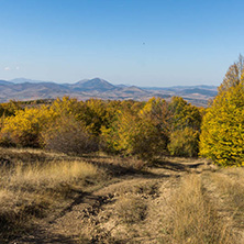 Amazing Autumn Panorama of Cherna Gora (Monte Negro) mountain, Pernik Region, Bulgaria