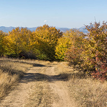 Amazing Autumn Panorama of Cherna Gora (Monte Negro) mountain, Pernik Region, Bulgaria