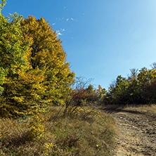 Amazing Autumn Panorama of Cherna Gora (Monte Negro) mountain, Pernik Region, Bulgaria