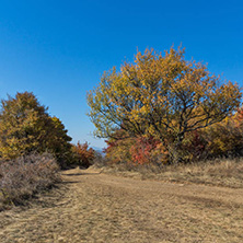 Amazing Autumn Panorama of Cherna Gora (Monte Negro) mountain, Pernik Region, Bulgaria