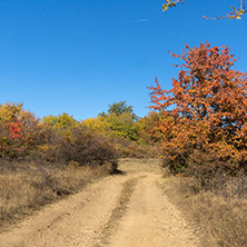 Amazing Autumn Panorama of Cherna Gora (Monte Negro) mountain, Pernik Region, Bulgaria