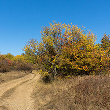 Amazing Autumn Panorama of Cherna Gora (Monte Negro) mountain, Pernik Region, Bulgaria