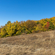 Amazing Autumn Panorama of Cherna Gora (Monte Negro) mountain, Pernik Region, Bulgaria