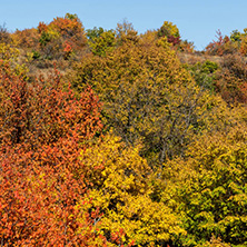 Amazing Autumn Panorama of Cherna Gora (Monte Negro) mountain, Pernik Region, Bulgaria